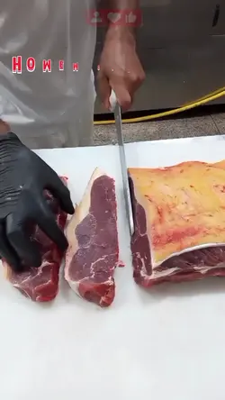 Áudios engraçado de 