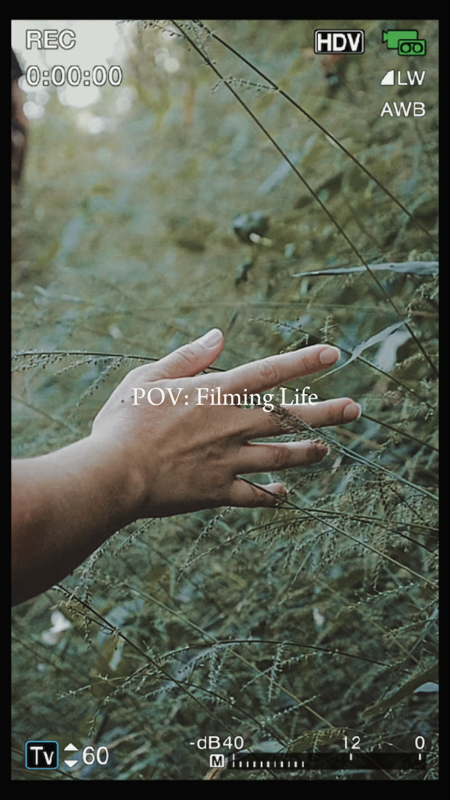 filming life