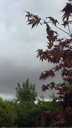 Gloomy and rainy 
