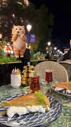 cat dance