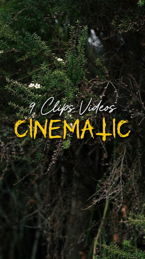 CINÉMATIQUE 9 VIDÉOS