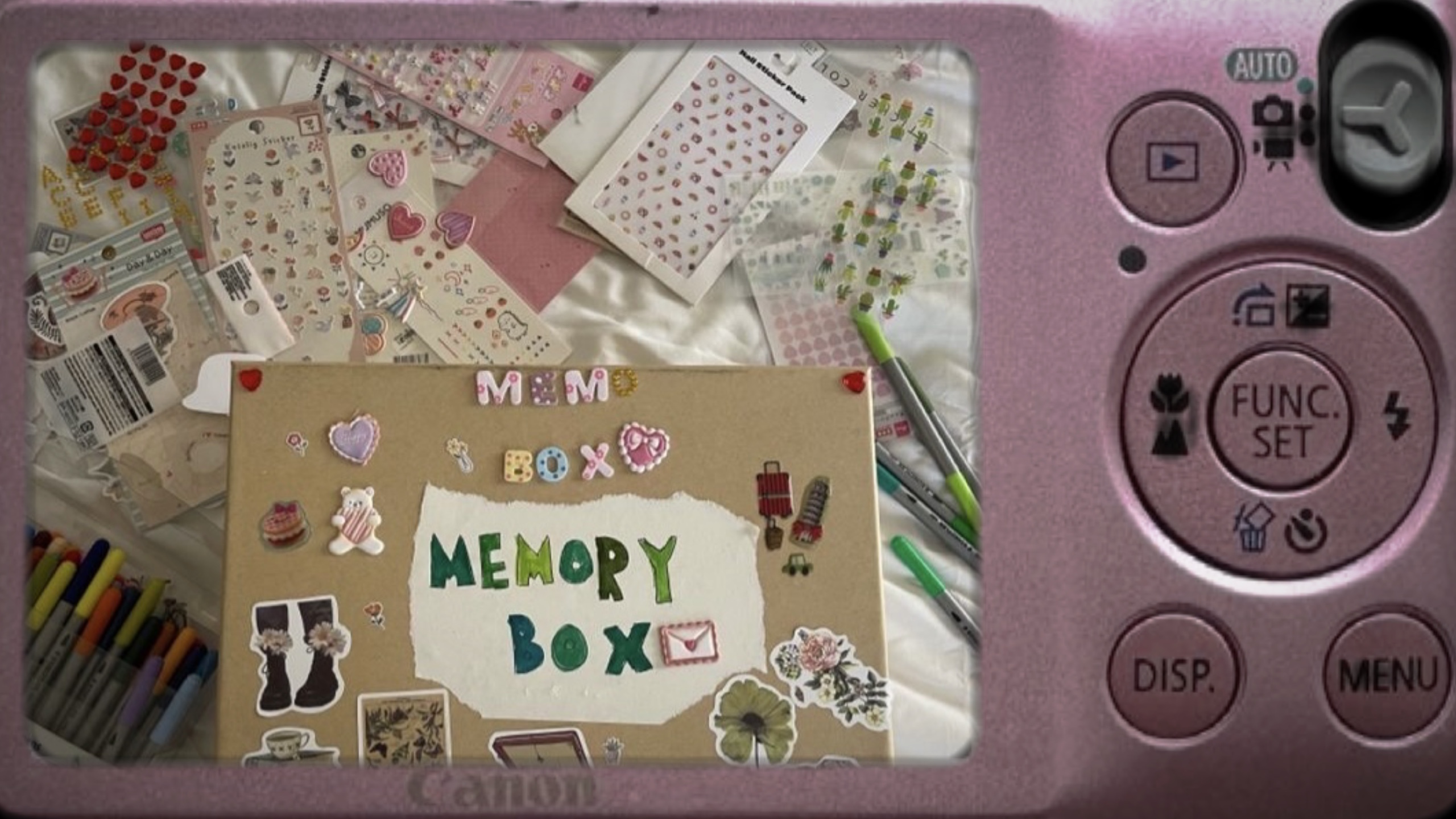 Cover Picture