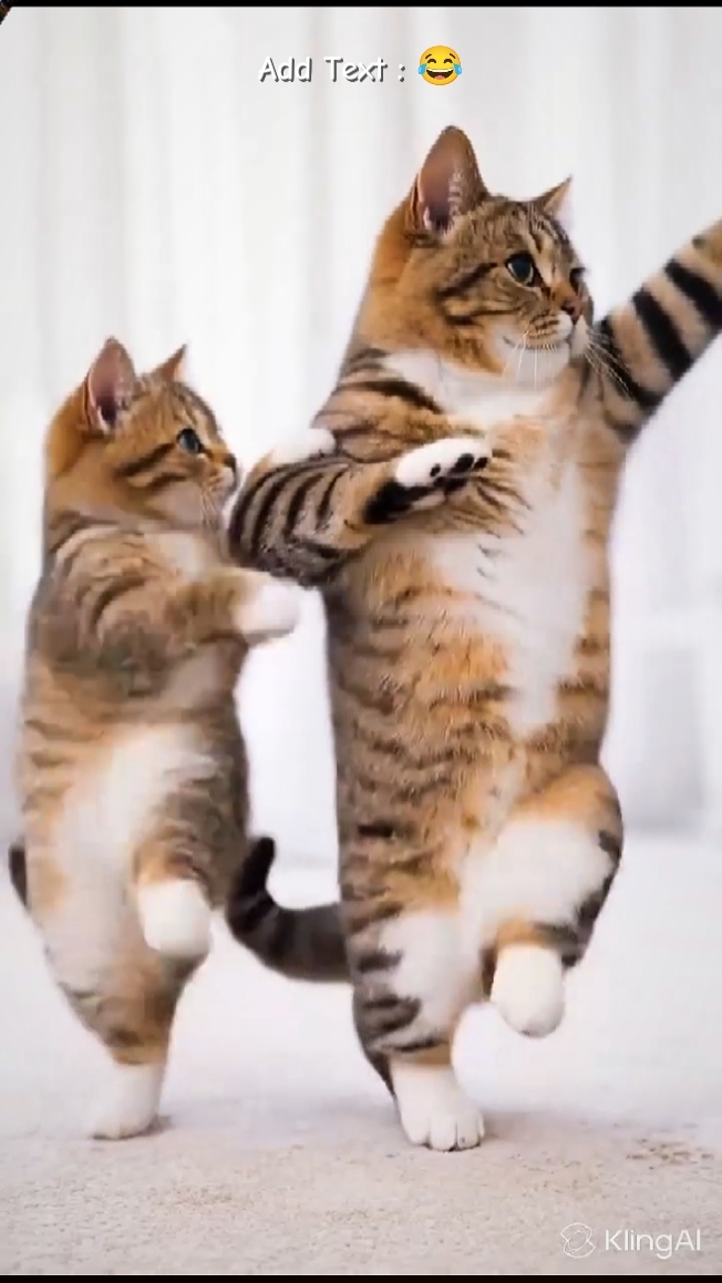 Dance trend