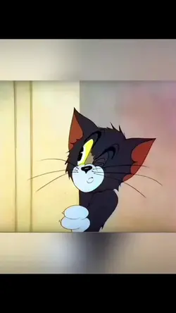 tom falling in love