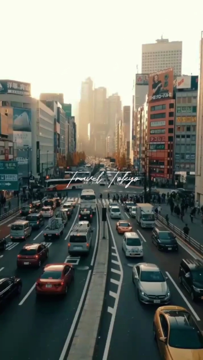 旅游东京