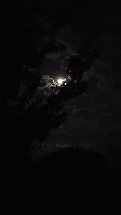 চাঁদে দেশে তাহার বাড়