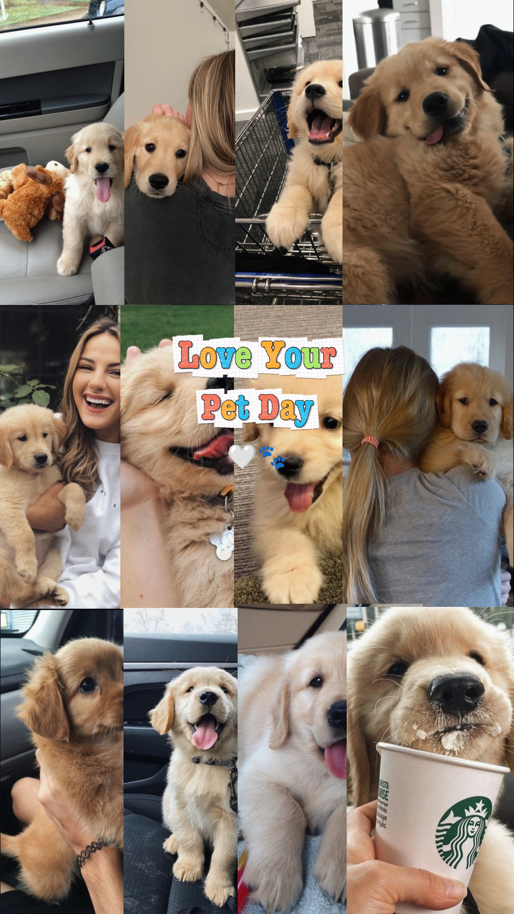 Pet Day