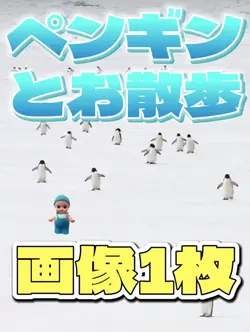ペンギンとぴょこぴょこ🥰