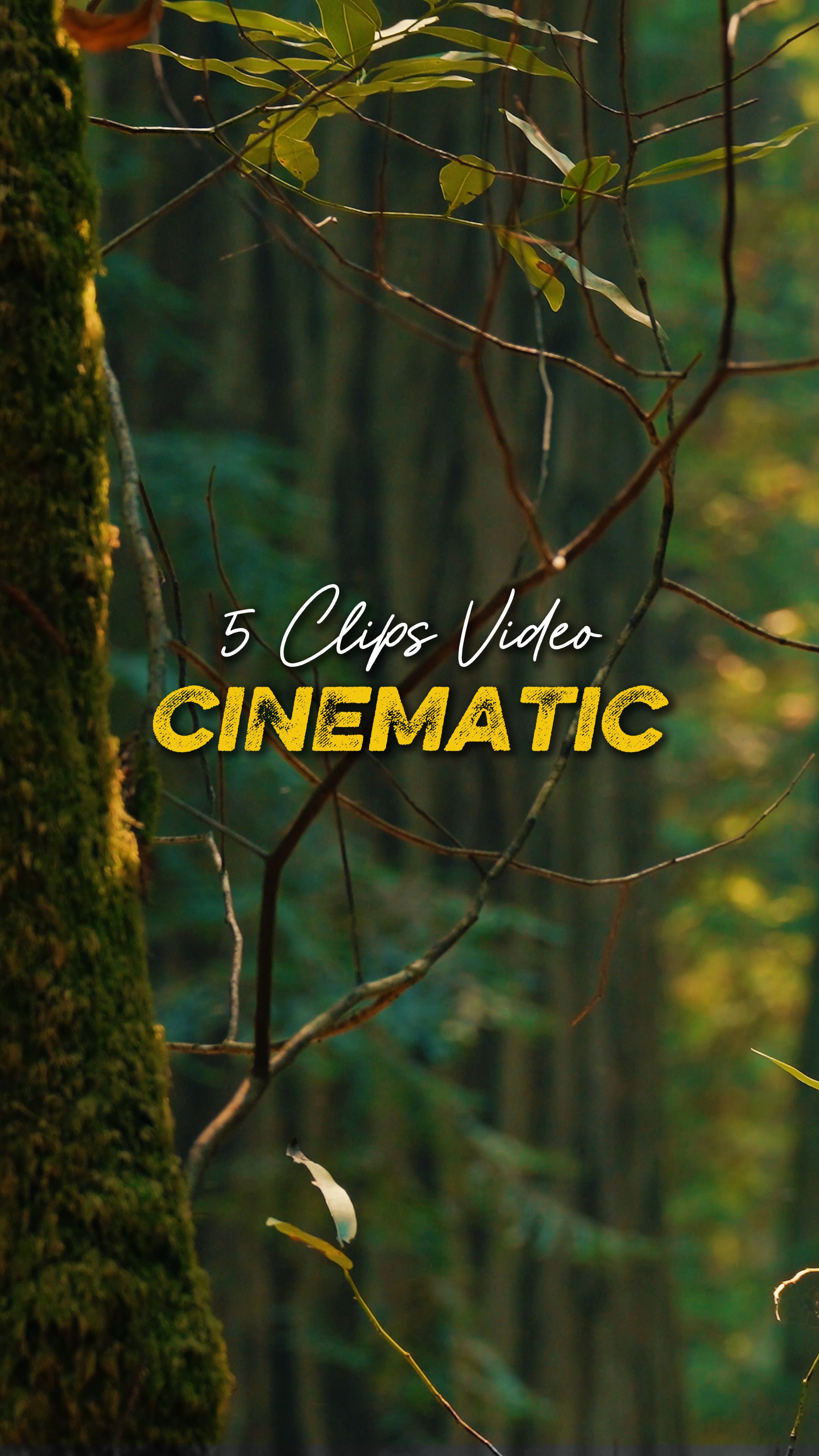 Cinématique 5 Vidéo