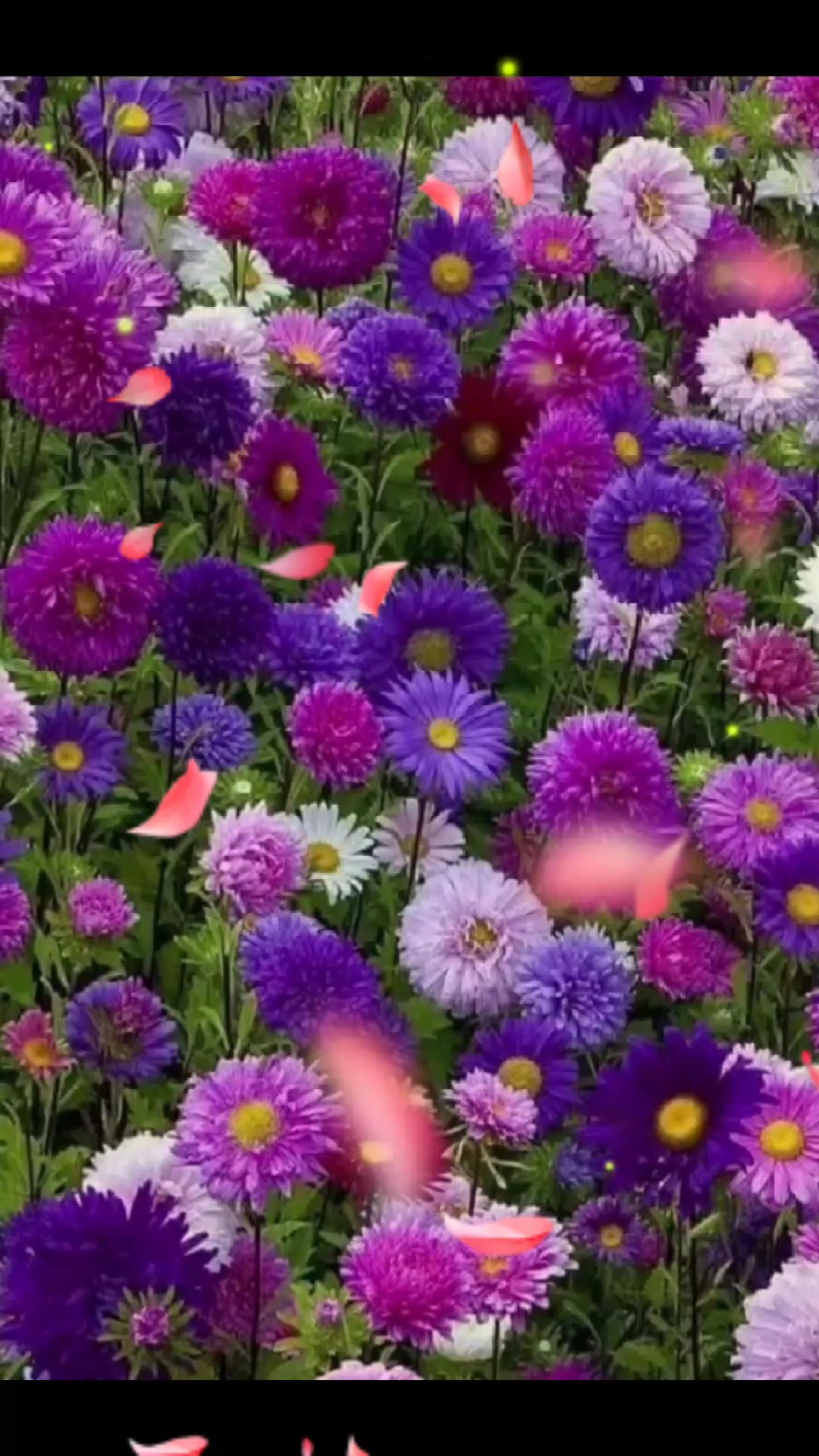 ข้อยท่าไร่999