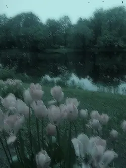 Chamber of Reflectio