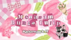 introduction pink