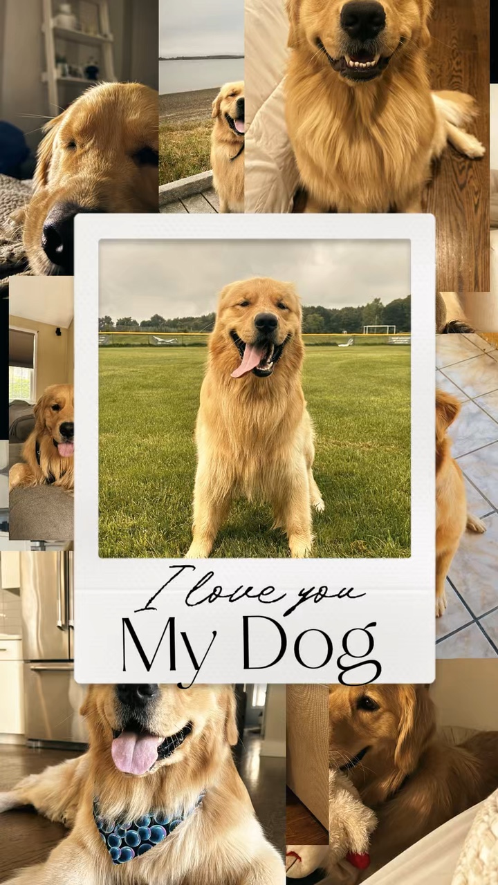 Love dog templates 