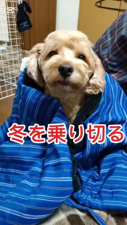 風邪をひかないように