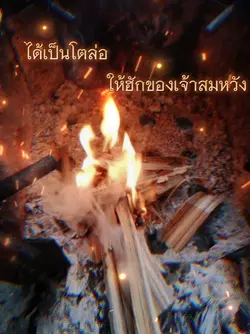 ไม้อ่อยไฟ