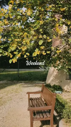 Aesthetic
