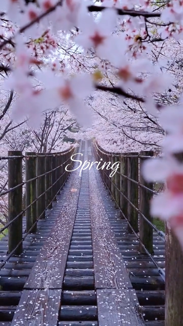 Primavera