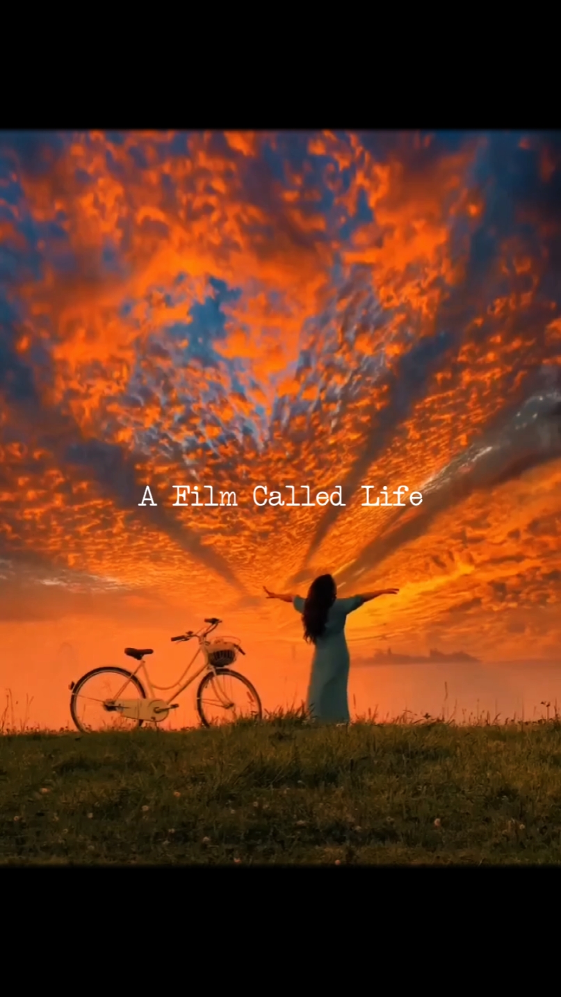film called life