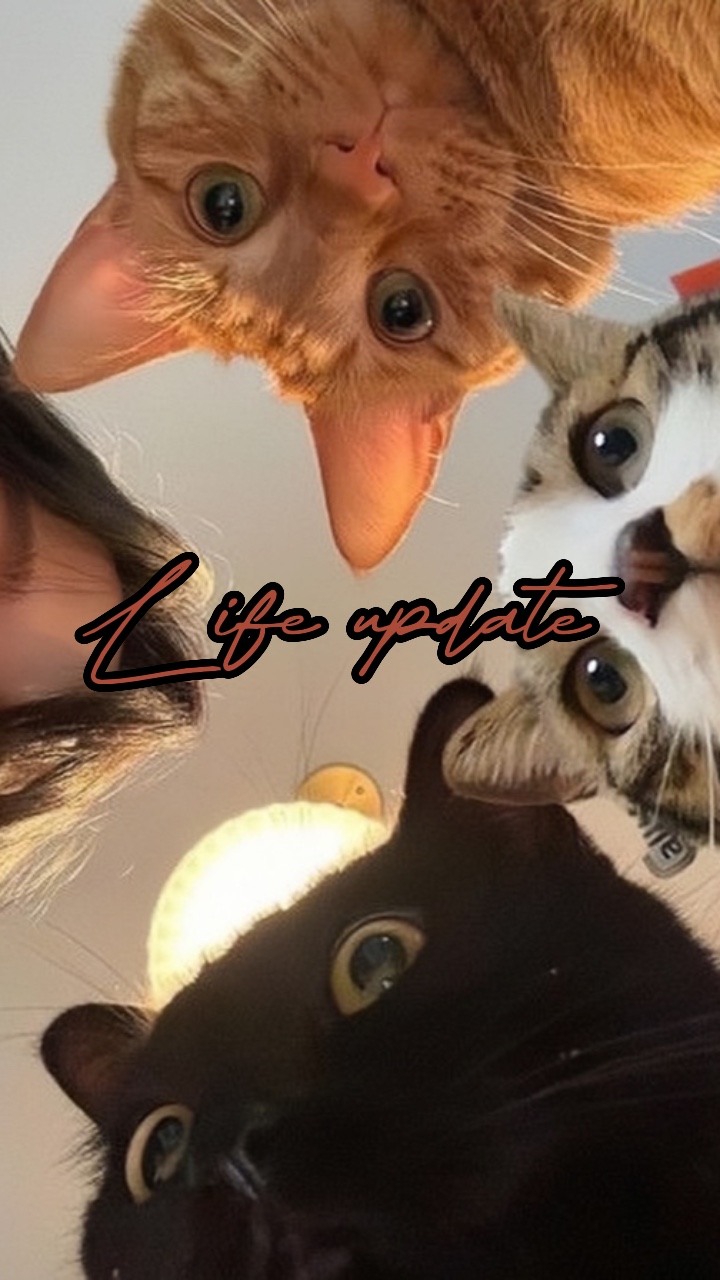Kucing adalah hidup 