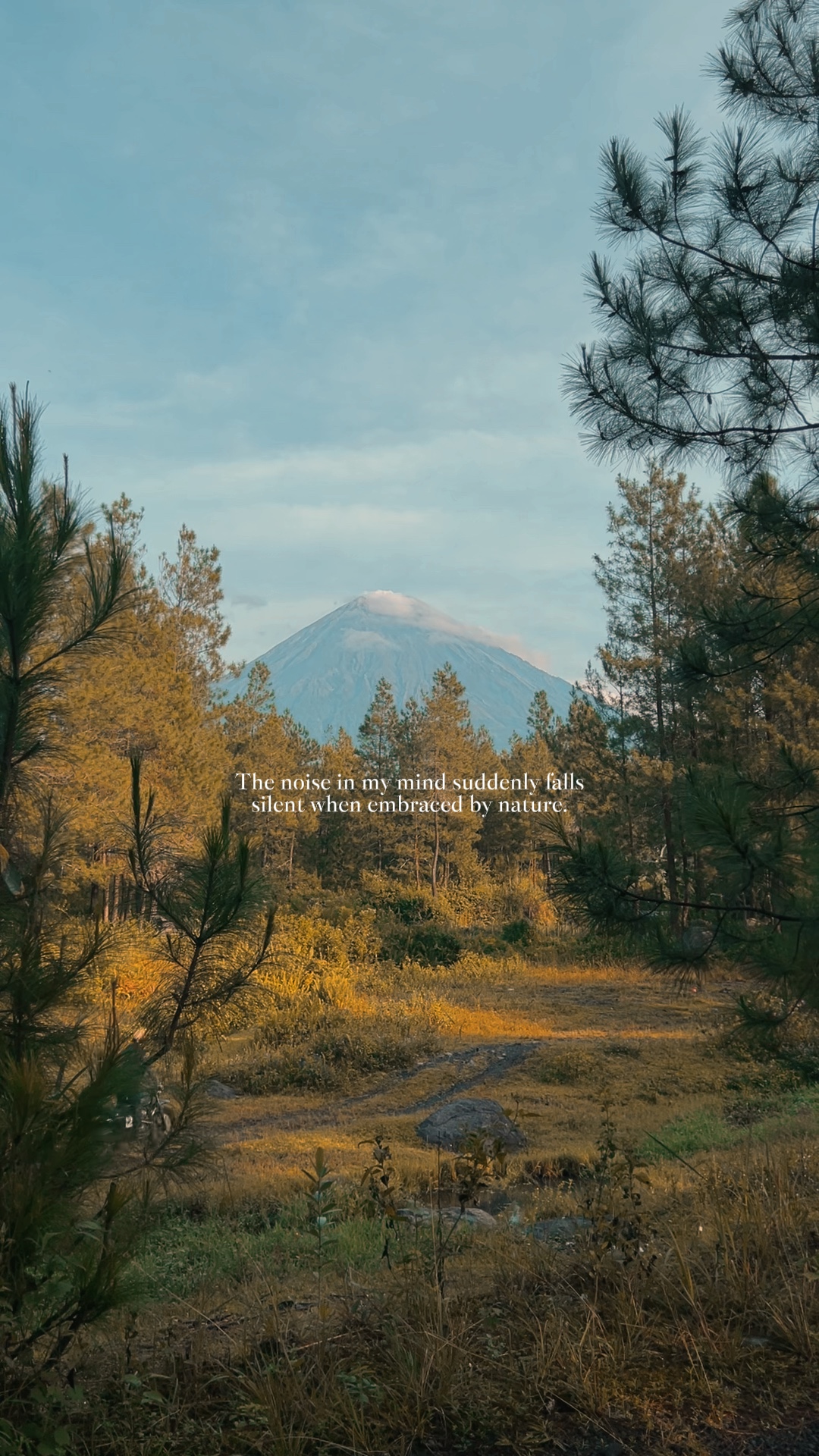 calm vibes nature