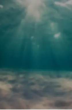 7張（左轉燈）模板