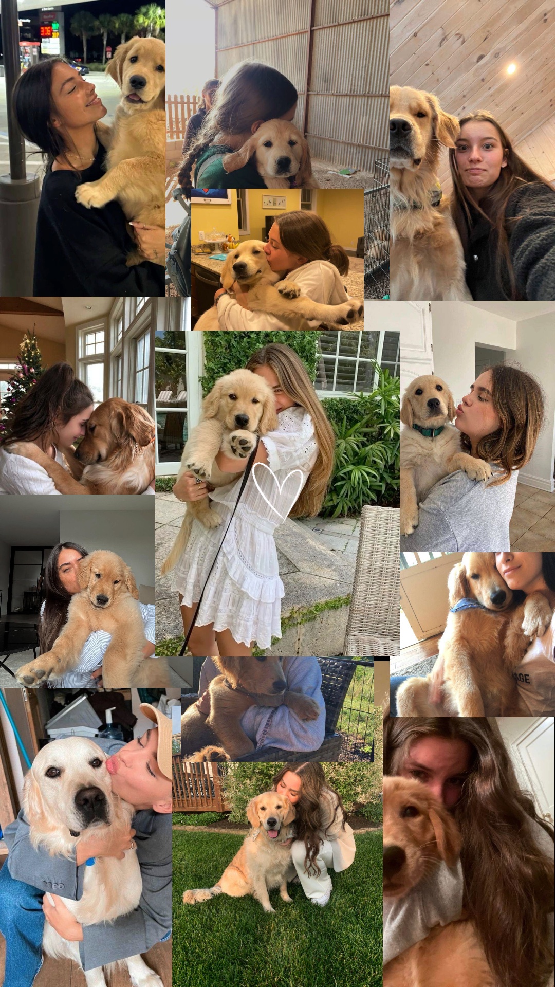 My dog