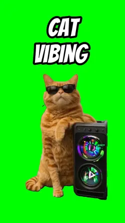 Cat vibing 