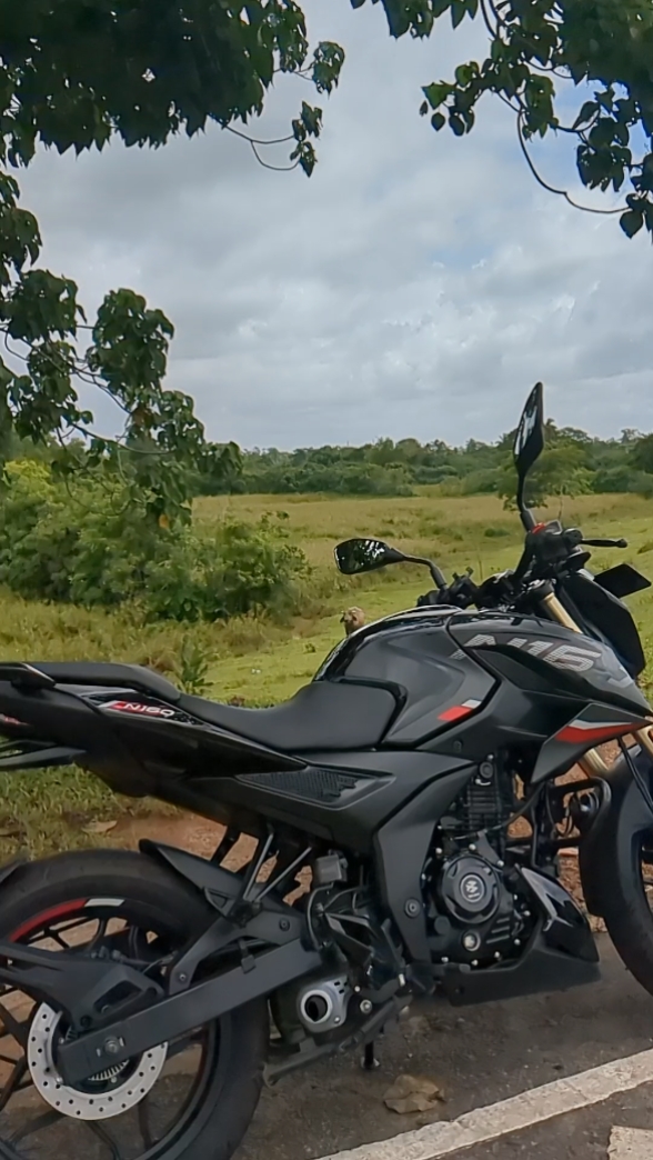 Raga of revenge bike