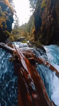 Adventure