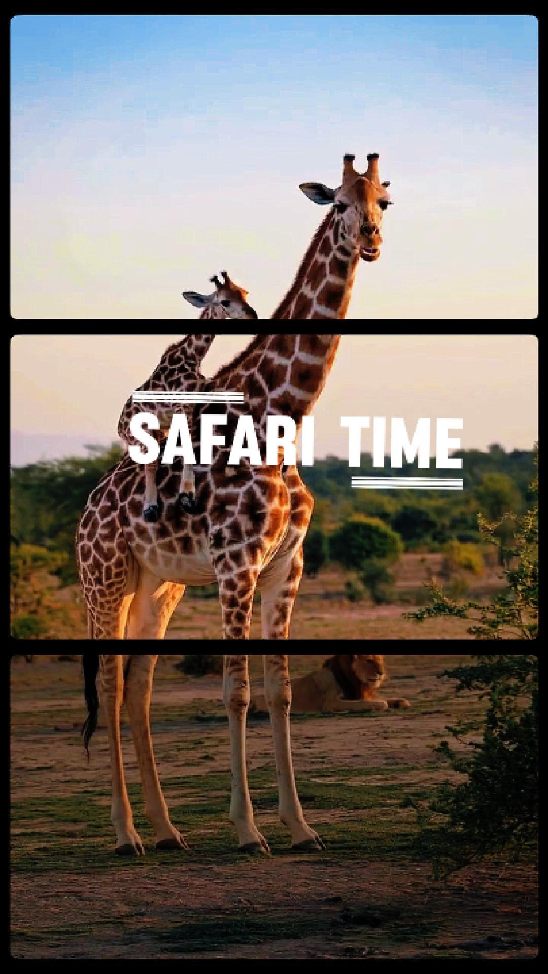 safaritime
