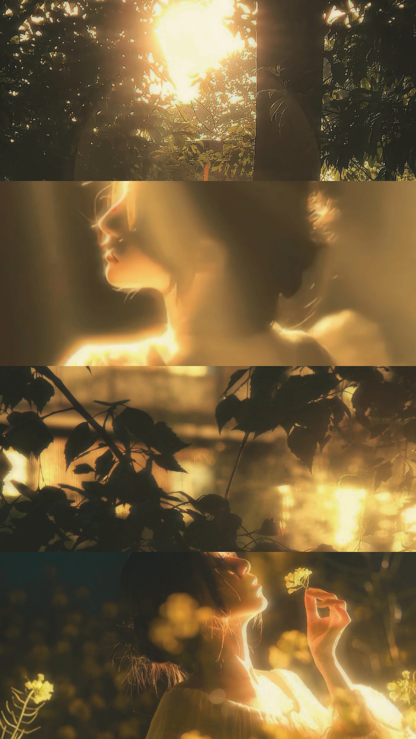 4 foto de collage