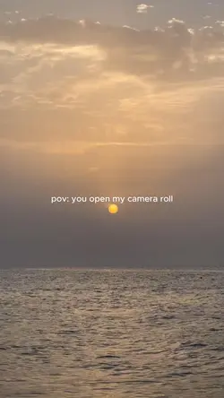 Daily vlog