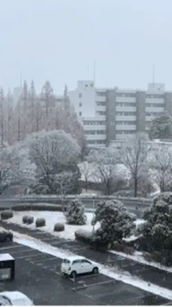 Morning Snow ❄️