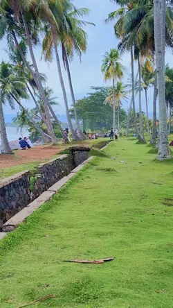 2 video