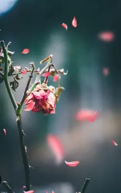 Yang Kalut Difikiran