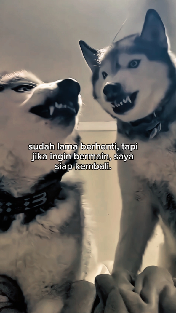 Foto Live-Text 