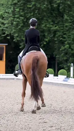 Equestrian