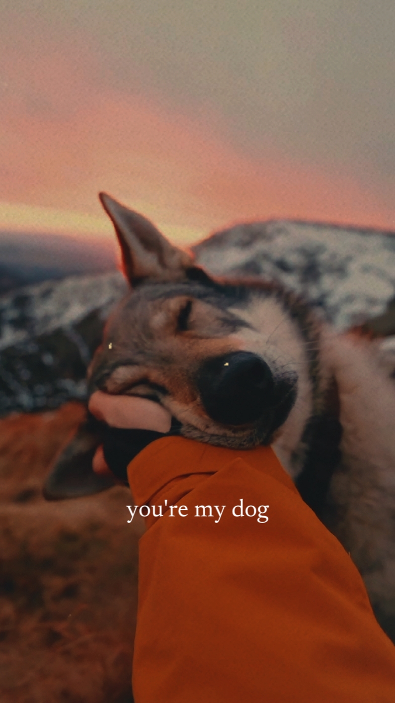You're my dog 