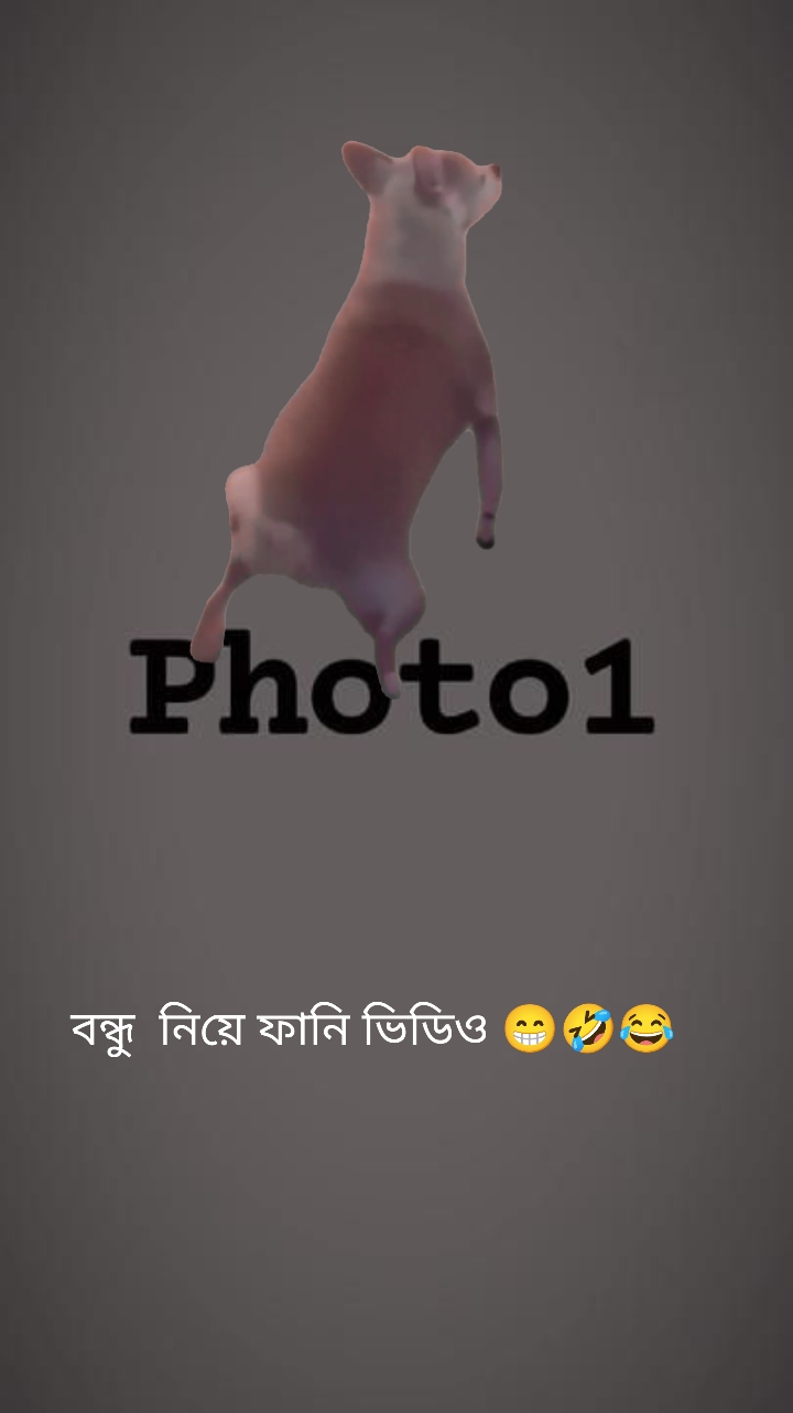 বন্ধু নিয়ে ফানভিডিও
