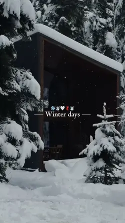 Winter days