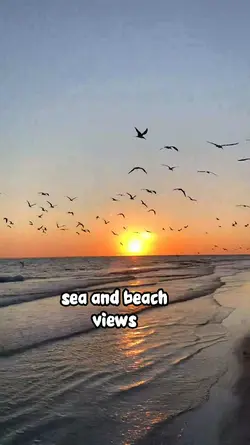 Sea and beach