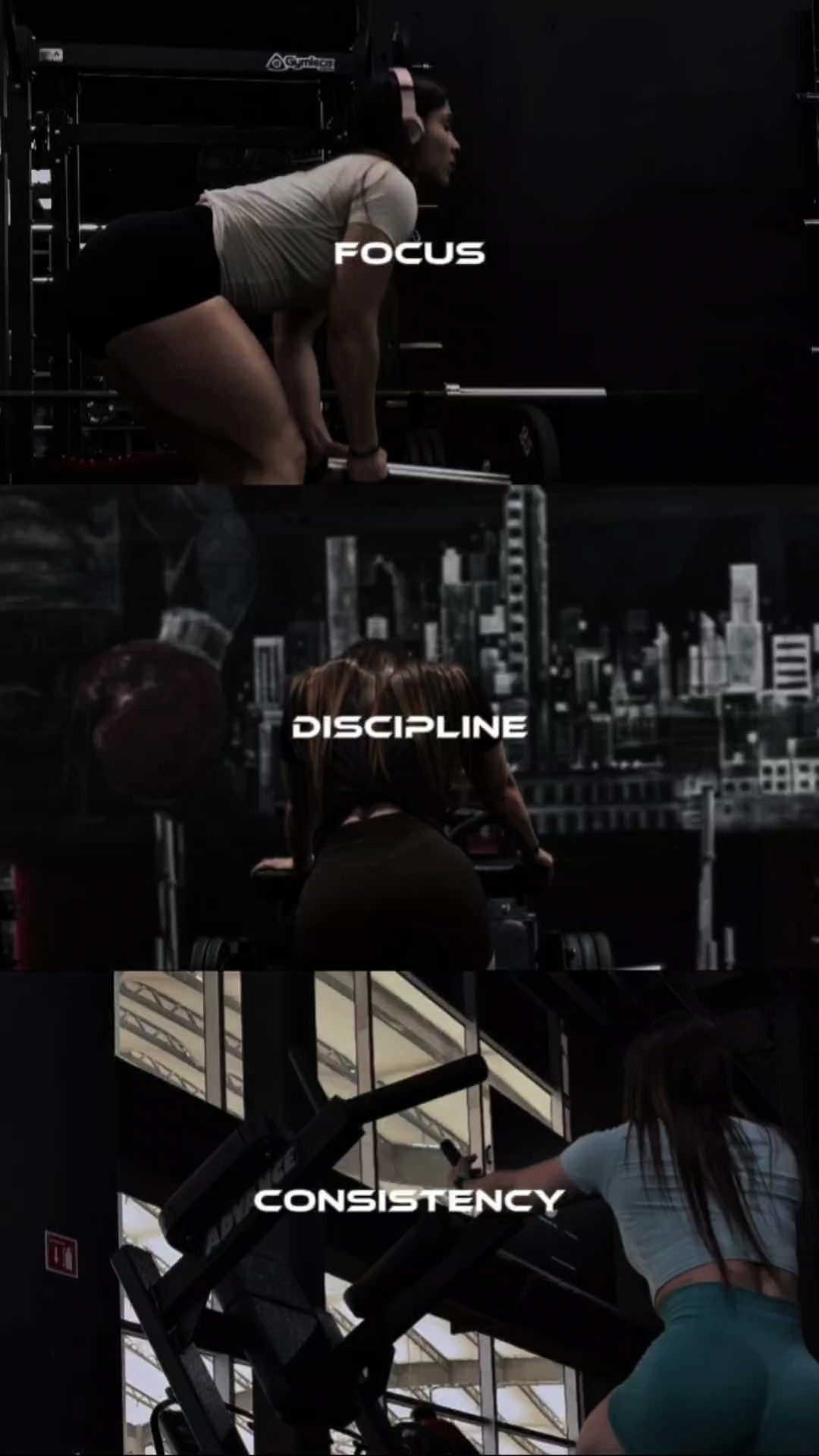 Disciplina de enfoque