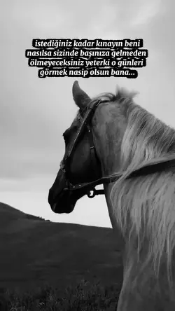 söz