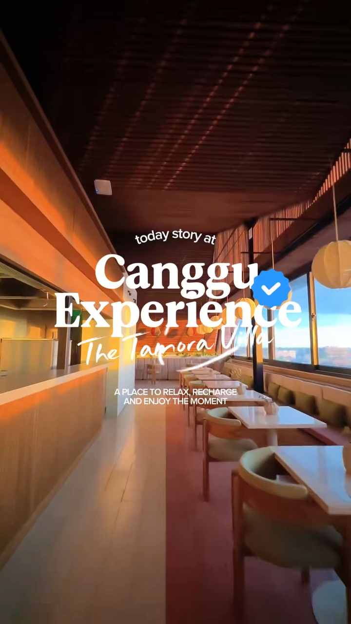 브이로그: 미학 