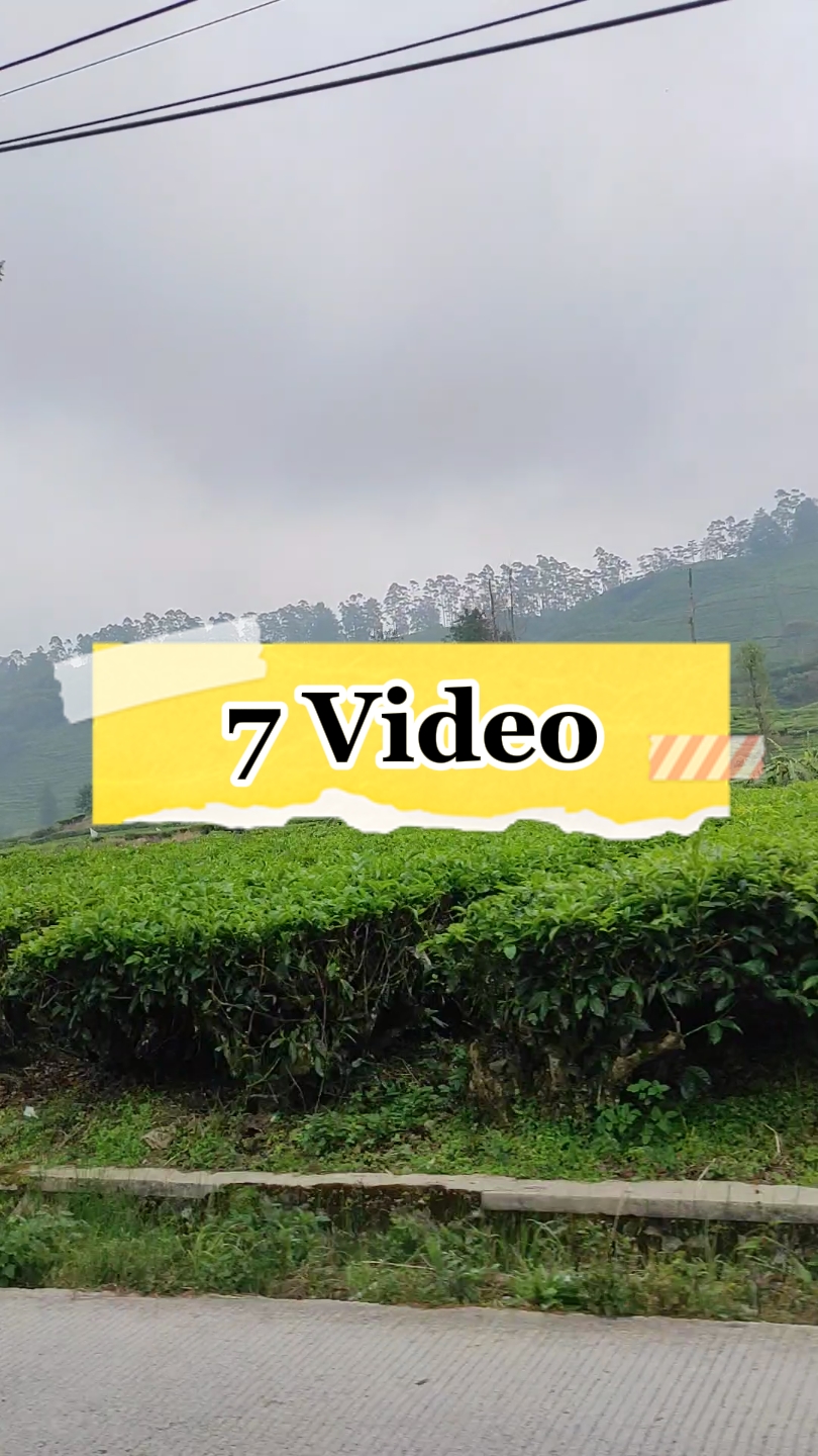 7 Vídeo