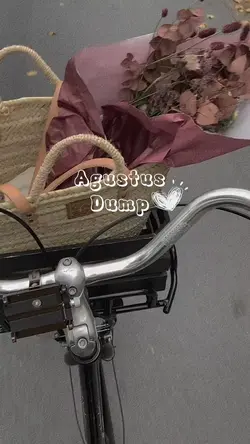 Agust Dump Aesthetic