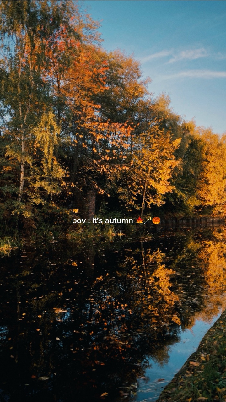 pov: es ist herbst