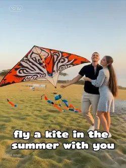 fly a kite