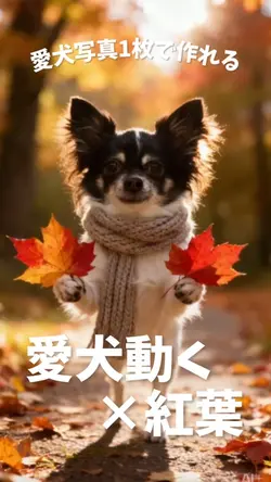 愛犬動く×紅葉🍁