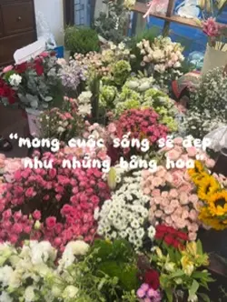 21 ảnh
